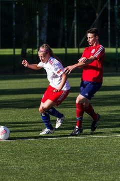 Bild 260 - Frauen HSV - cJun Eintracht Norderstedt : Ergebnis: 1:16
